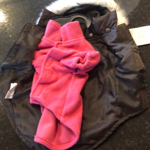 Winter jacket for Dogs xsmall - Picture 3 of 4